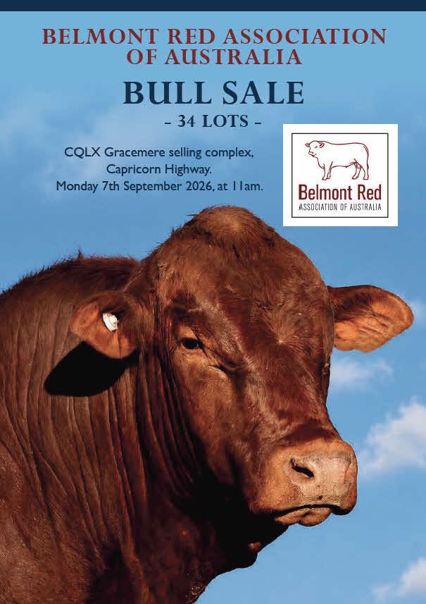 2026 Bull Catalogue front cover